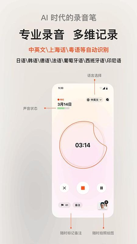 闪念贝壳_图片