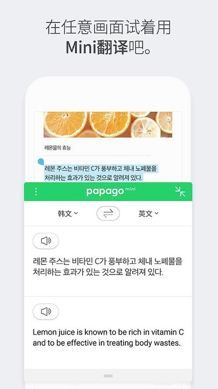 NaverPapago官方版_图片