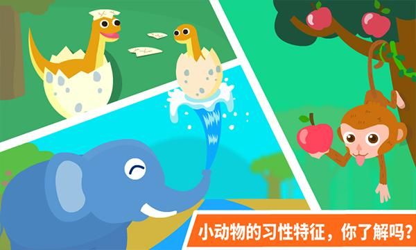 动物乐园游戏_图片