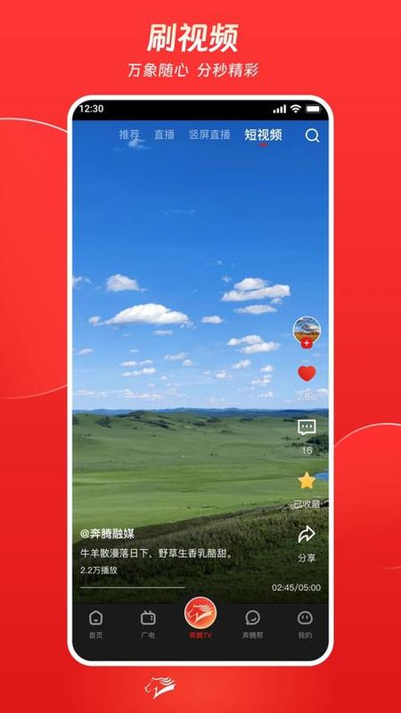 奔腾融媒_图片