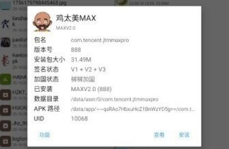 鸡太美MAX游戏端口公益版