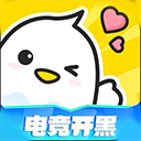 不鸽电竞