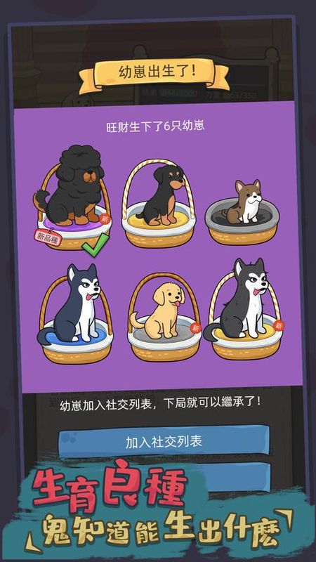 狗生模拟器手游_图片