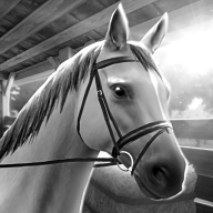 FEI Equestriad World Tour(FEI马术世界巡回赛游戏下载)