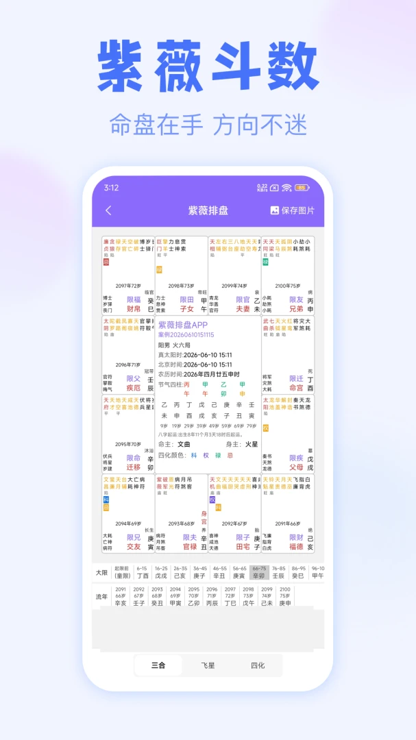 紫薇排盘-专业紫微斗数排盘工具_图片