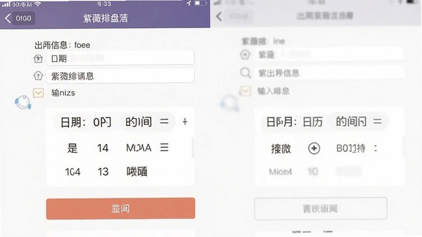 紫薇排盘移动端操作界面截图,展示输入出生信息的页面,日期时间选择器清晰可见,界面简洁易用