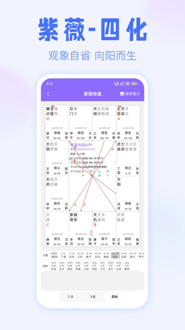 紫薇排盘-专业紫微斗数排盘工具_图片